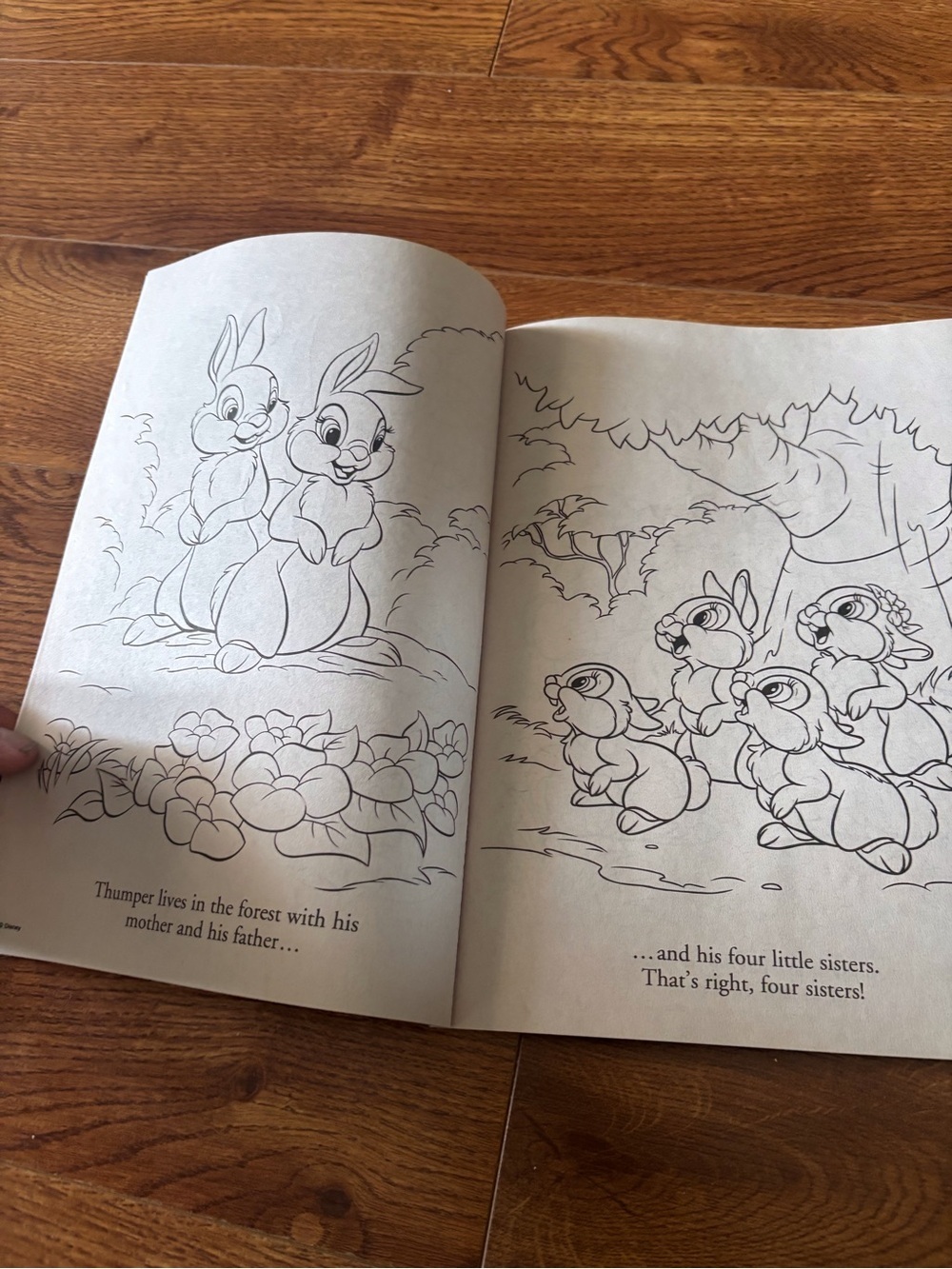 Disney Bunnies Big Fun Book to Color - Teal, Brown, Yellow - Picture 2 of 3